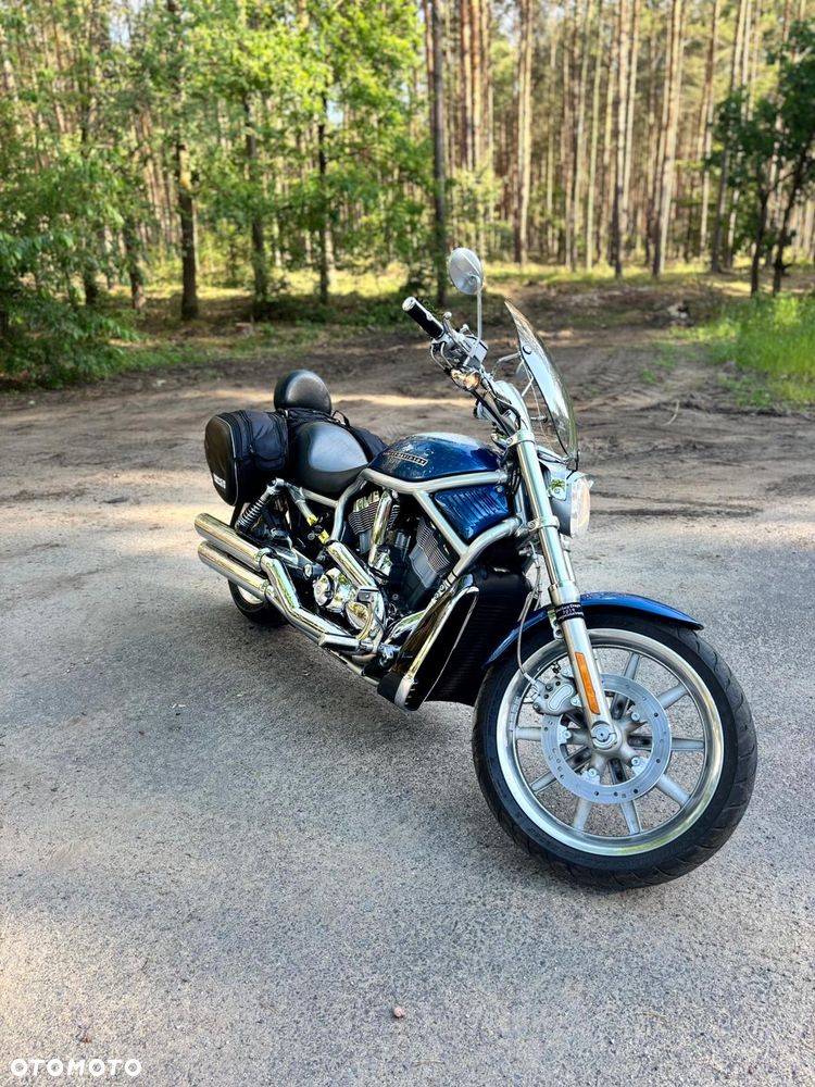 Harley-Davidson V-Rod Street Rod - 3