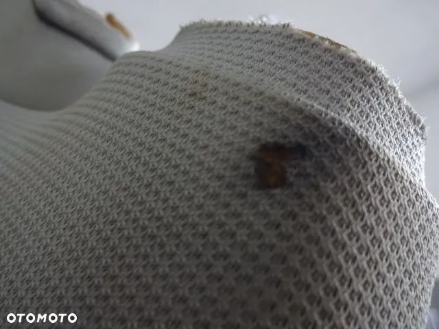 Podsufitka Audi A3 8P Lift 3-drzwi 8P3867505J - 2