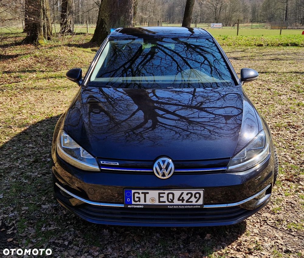 Volkswagen Golf - 1