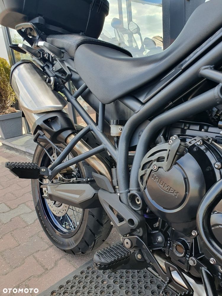Triumph Tiger - 21