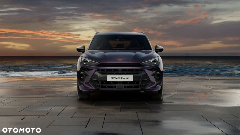 Cupra Terramar - 7