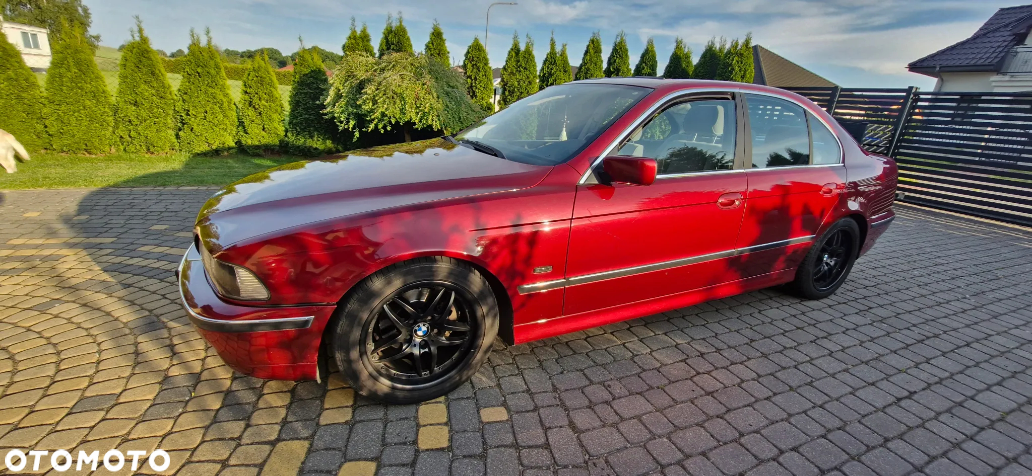 BMW Seria 5 - 13