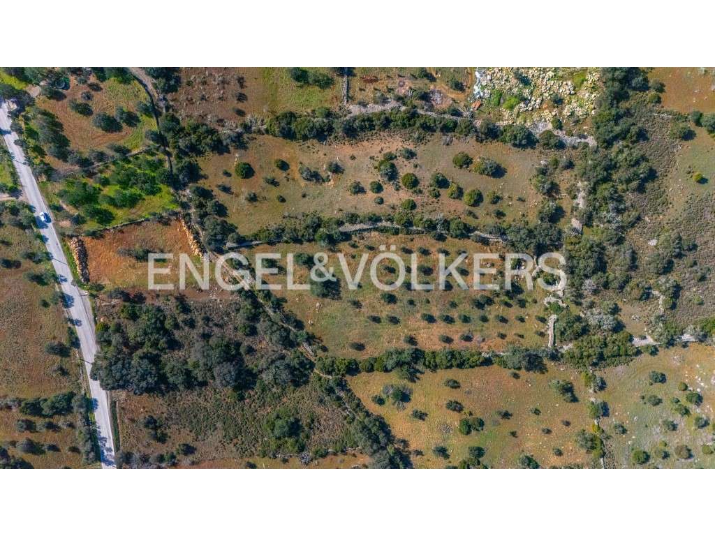 Investimento: Parque de Autocaravanas em São Brás de Alportel - Grande imagem: 5/13