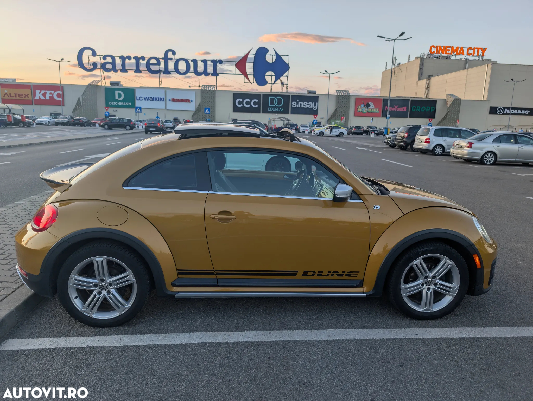 Volkswagen Beetle - 11