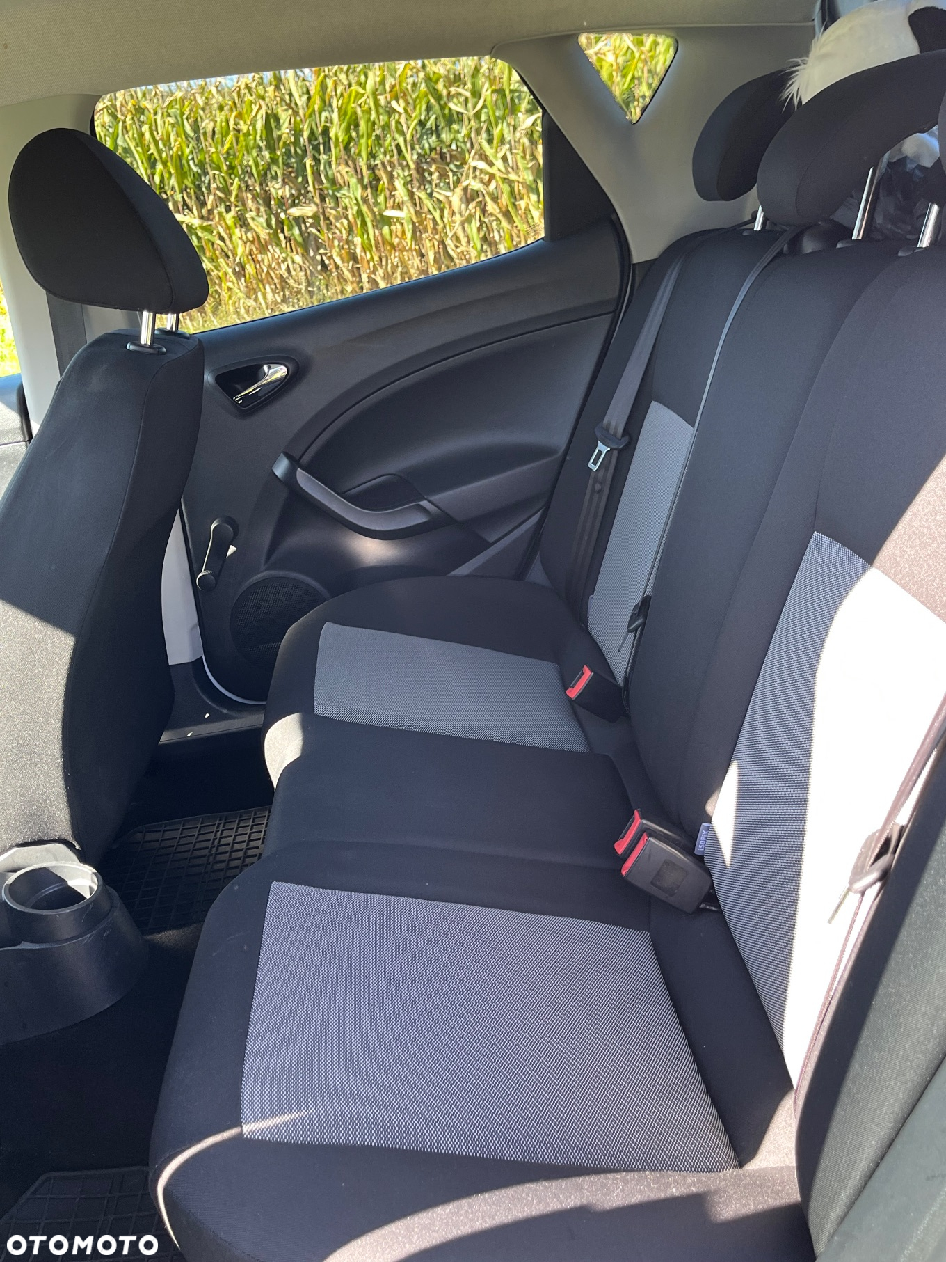 Seat Ibiza 1.0 Reference - 10