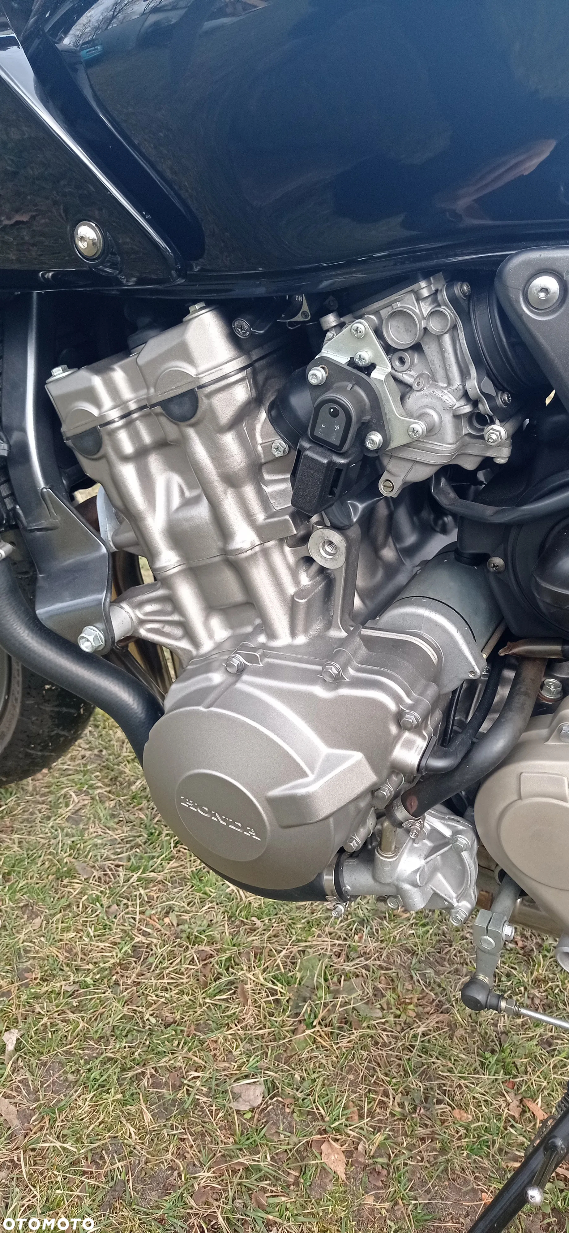 Honda Hornet - 13