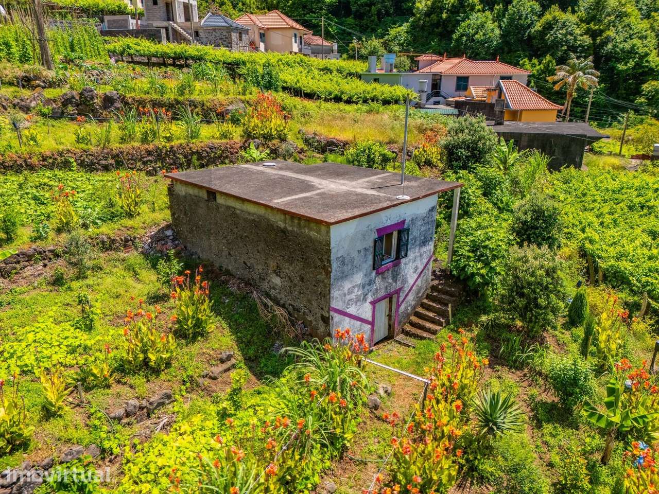 Terreno em S. Vicente | Com Armazém Agrícola - Grande imagem: 5/22