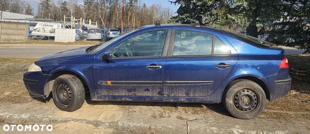 Drzwi / prawe lewe przód tył / Renault Laguna II (lak: TED44)