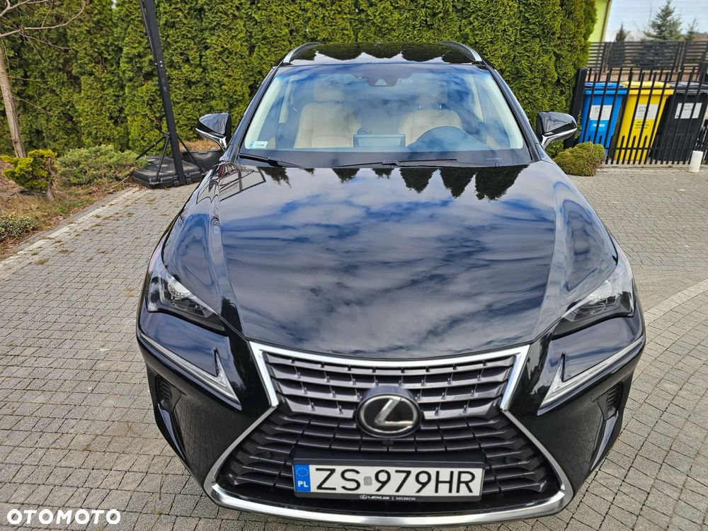 Lexus NX 300 Comfort AWD - 2