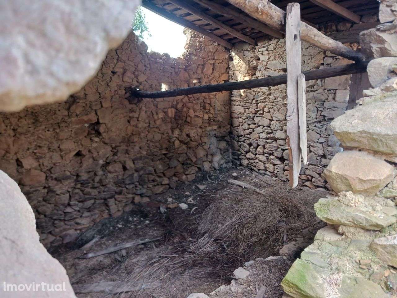 Quinta - Grande imagem: 3/13