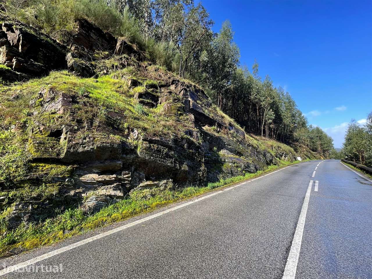 Terreno Rústico  Venda em Raiva, Pedorido e Paraíso,Castelo de Paiva - Grande imagem: 5/10