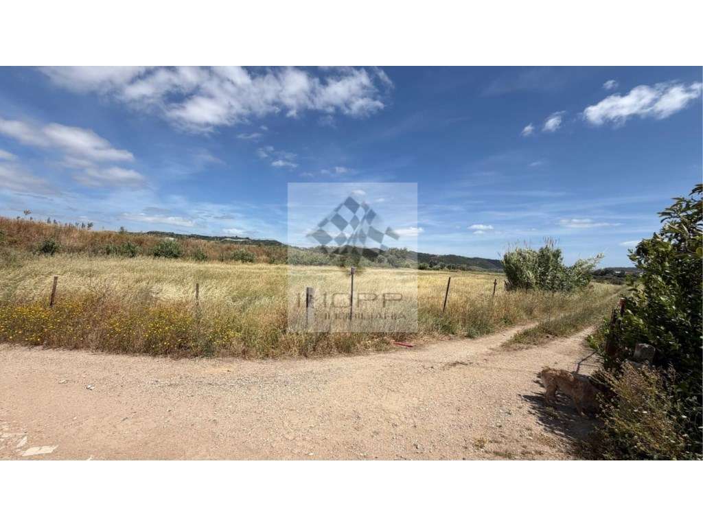 Excelente Oportunidade de Investimento - Terreno com 1,25 Ha - Grande imagem: 5/11