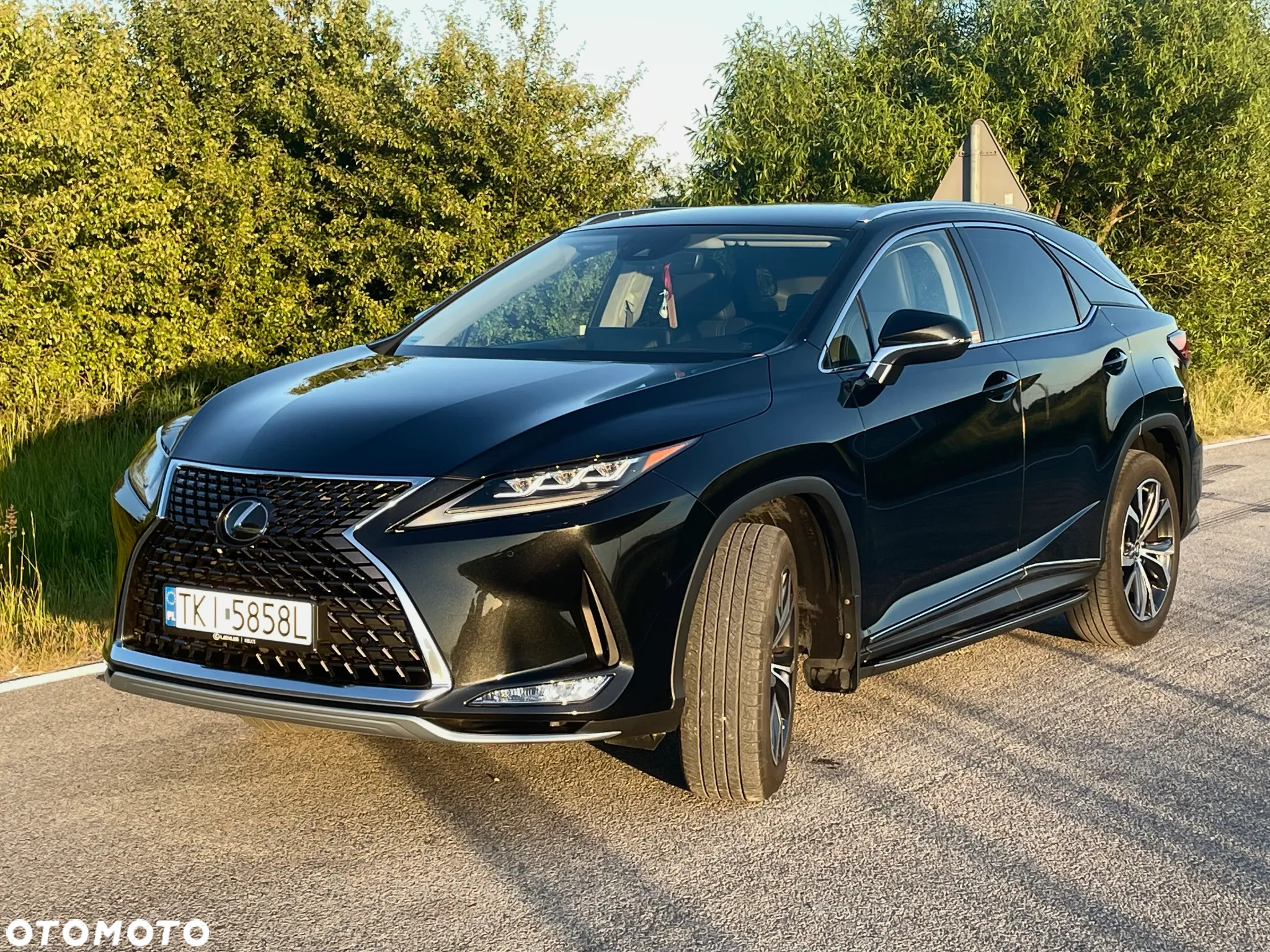 Lexus RX 300 Business Edition + - 3