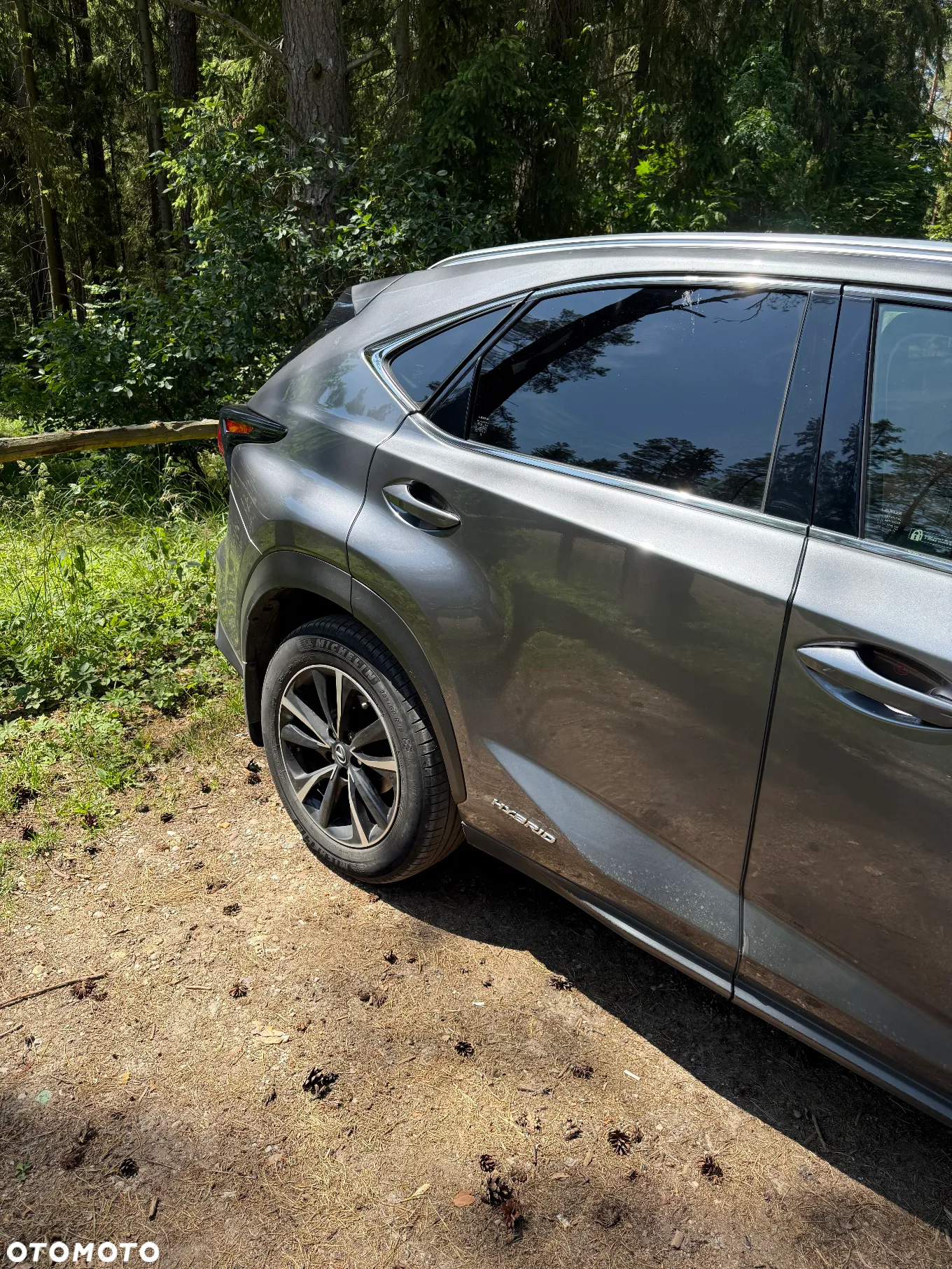 Lexus NX - 12