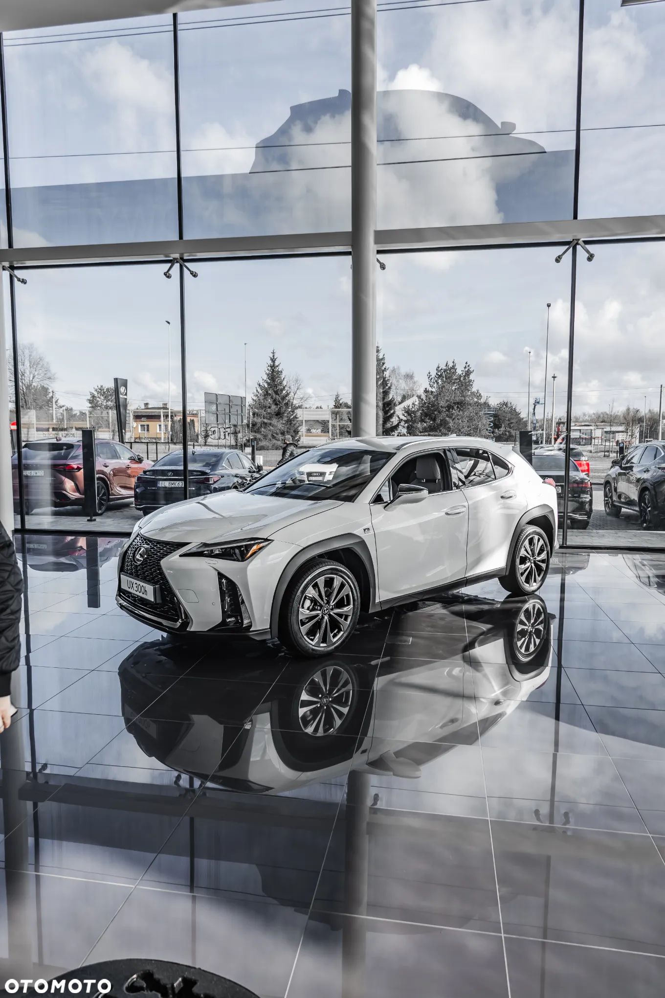 Lexus UX 300h F Sport Design AWD - 1