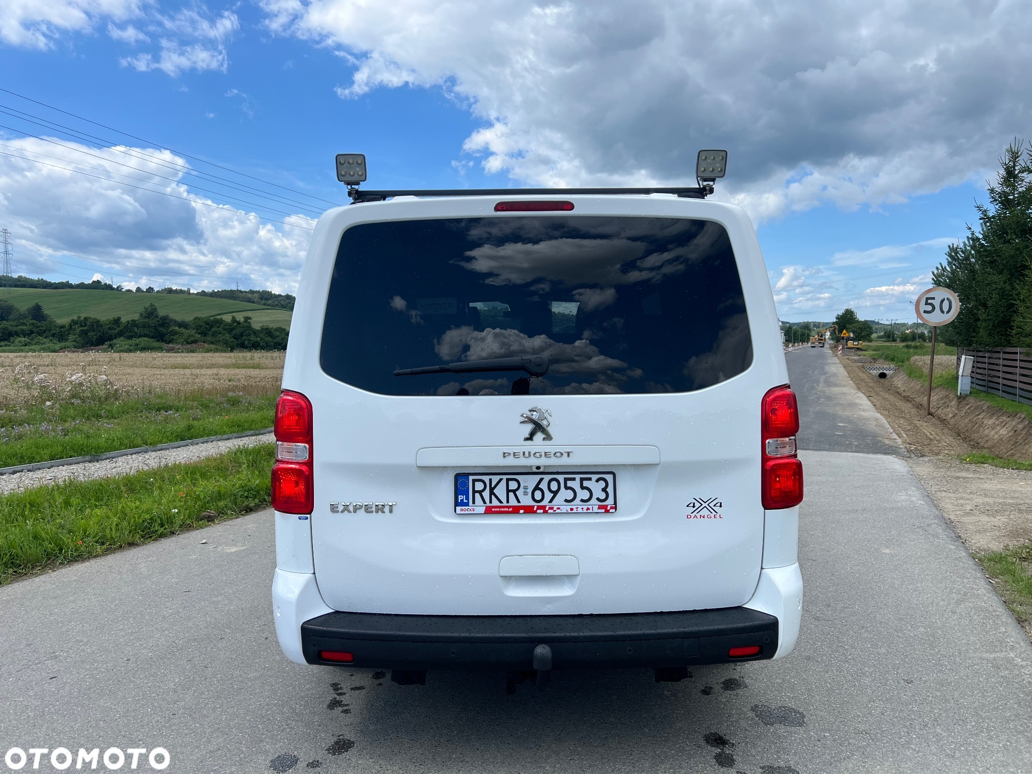 Peugeot EXPERT DANGEL 4x4 - 9