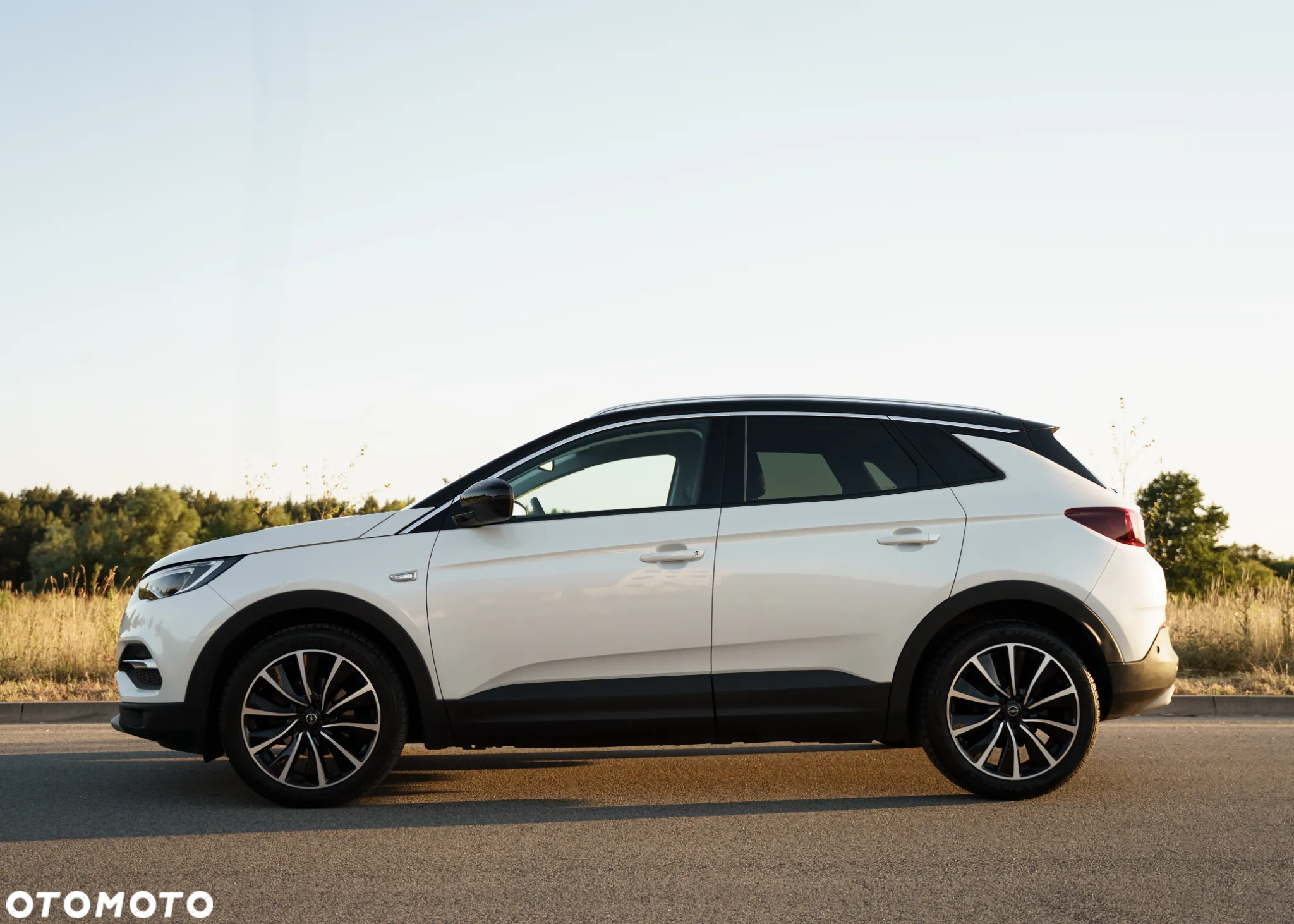 Opel Grandland X 1.5 CDTI Ultimate S&S - 2