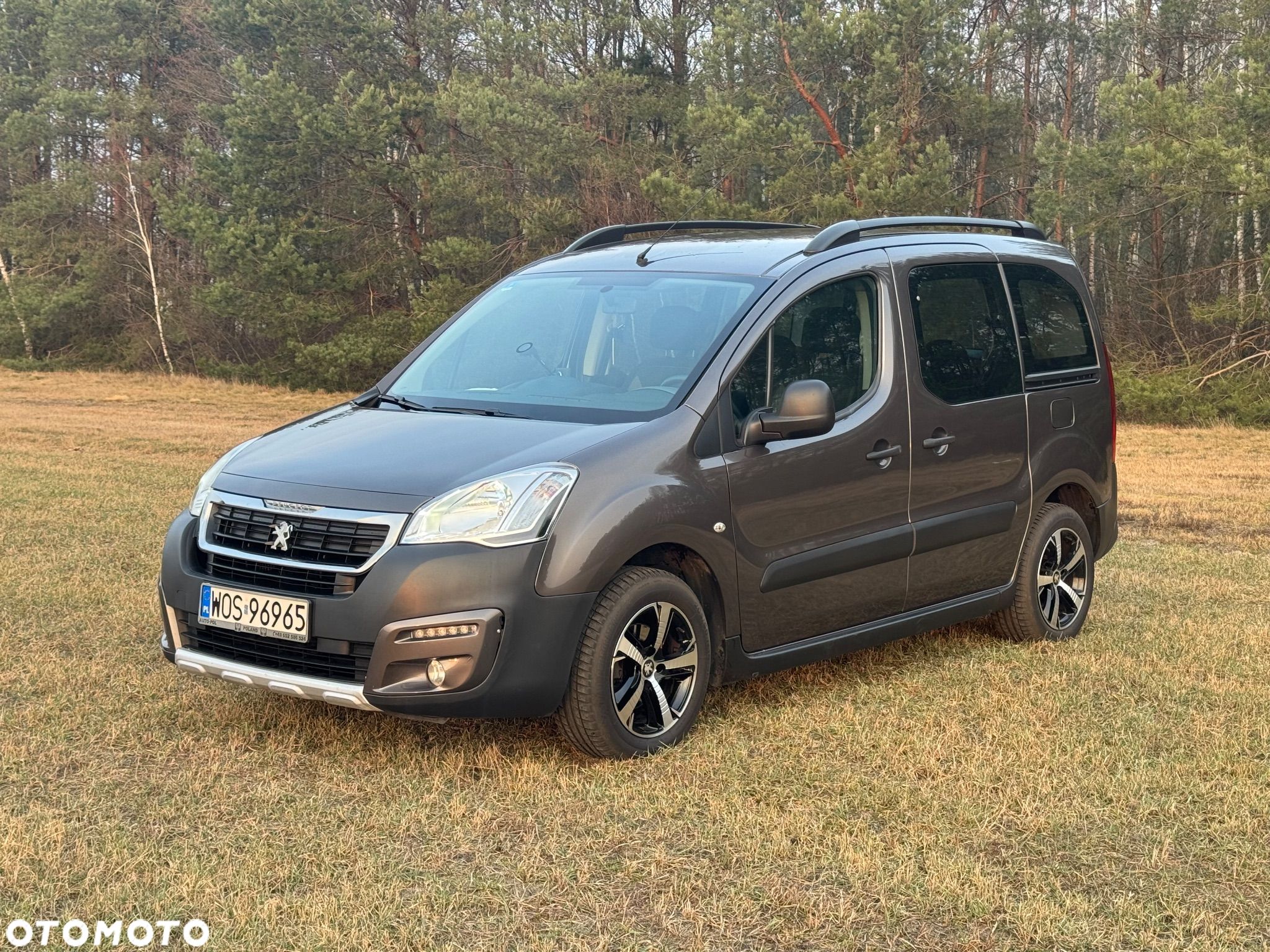 Peugeot Partner - 1