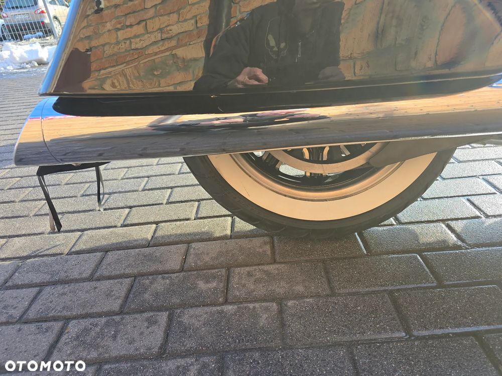 Indian Springfield - 19