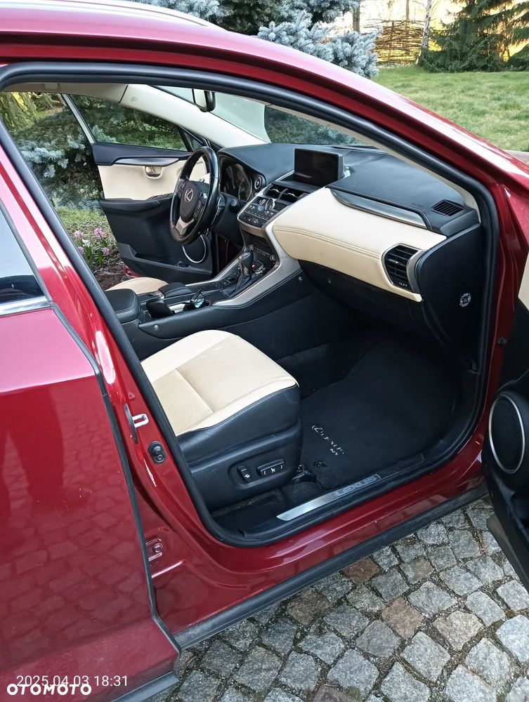 Lexus NX ver-300h-business-edition-awd - 21