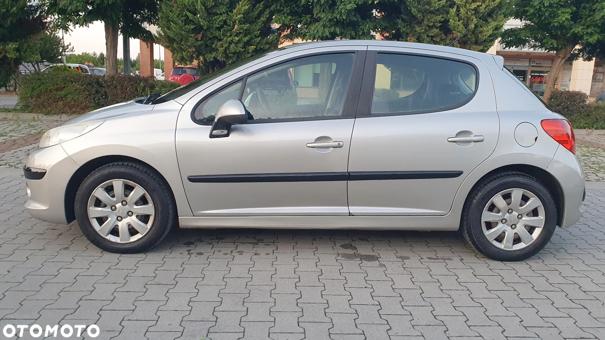 Peugeot 207 - 5