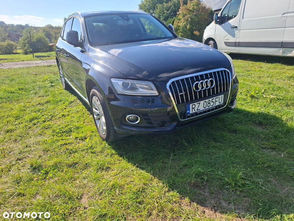 Audi Q5 2012 photo 2