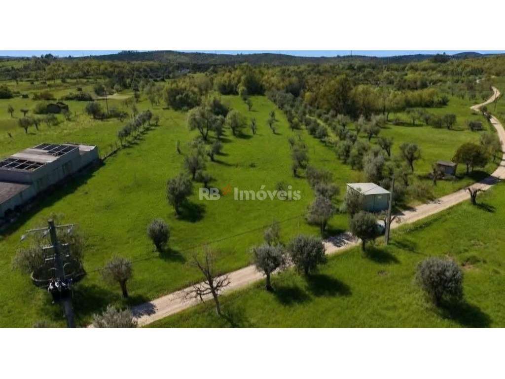 3 Terrenos rústicos com poço e barracão - Areias, Ferreira do Zêzere - Grande imagem: 2/5