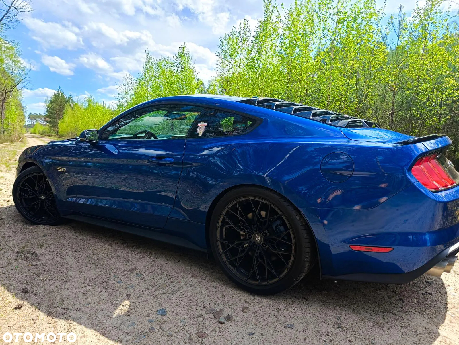 Ford Mustang Fastback 5.0 Ti-VCT V8 MACH1 - 10