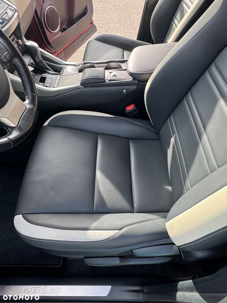 Lexus NX 300 F Impression AWD - 16