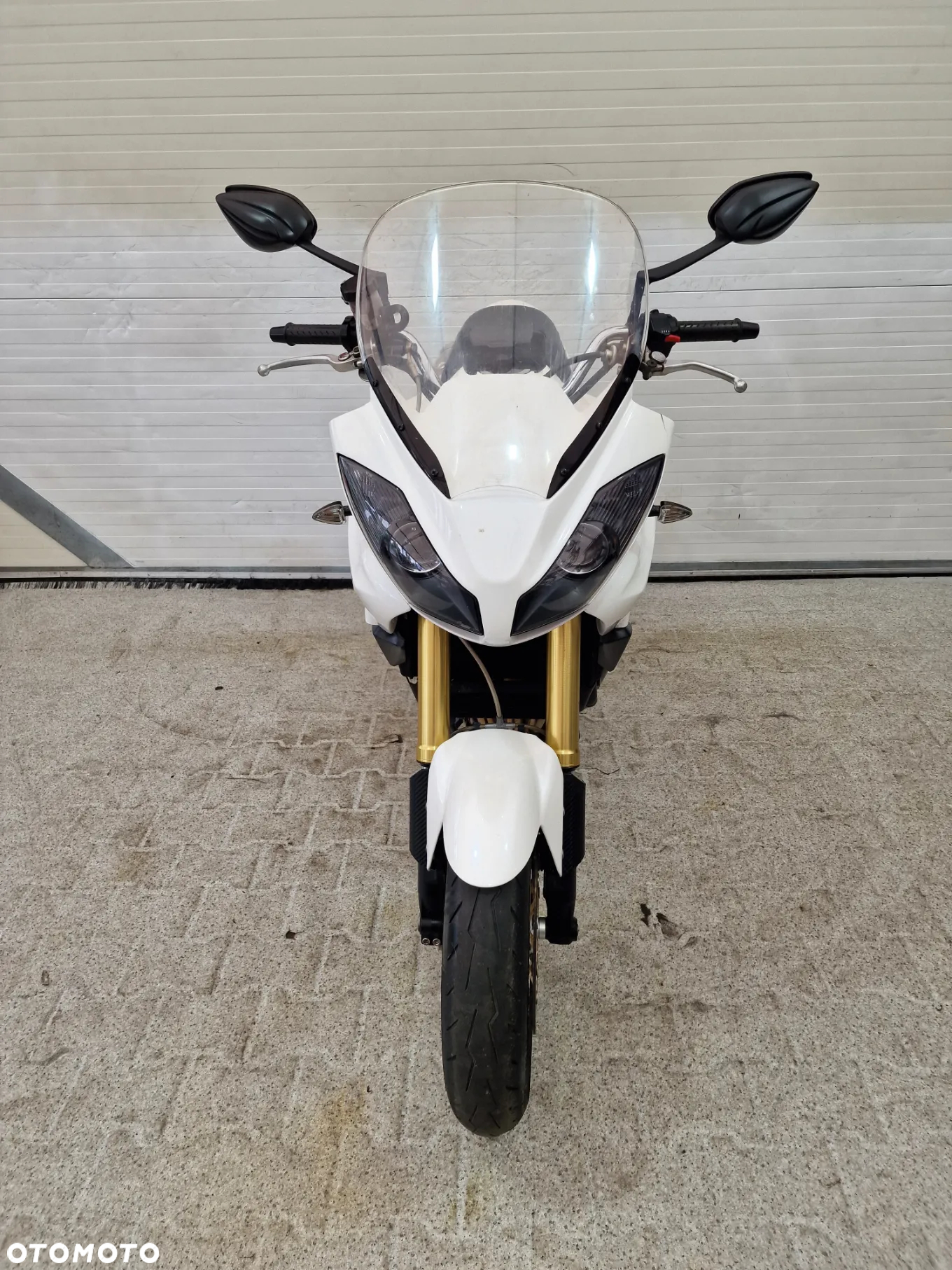 Triumph Tiger - 16