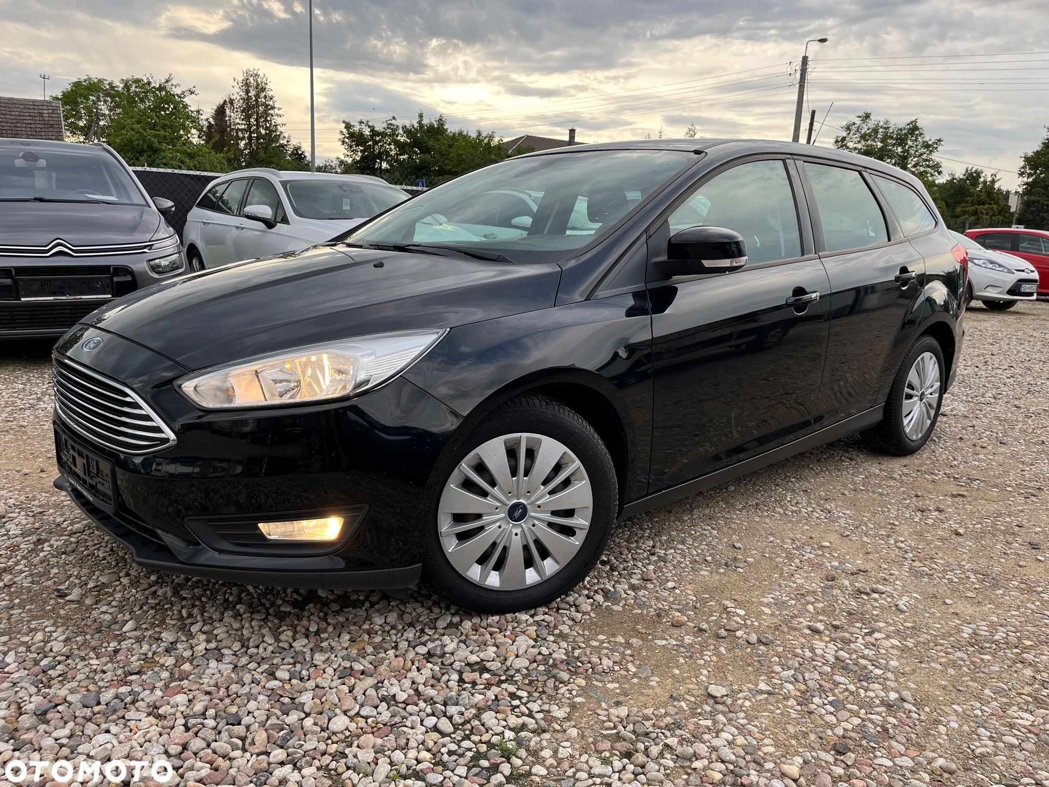 Ford Focus - 1