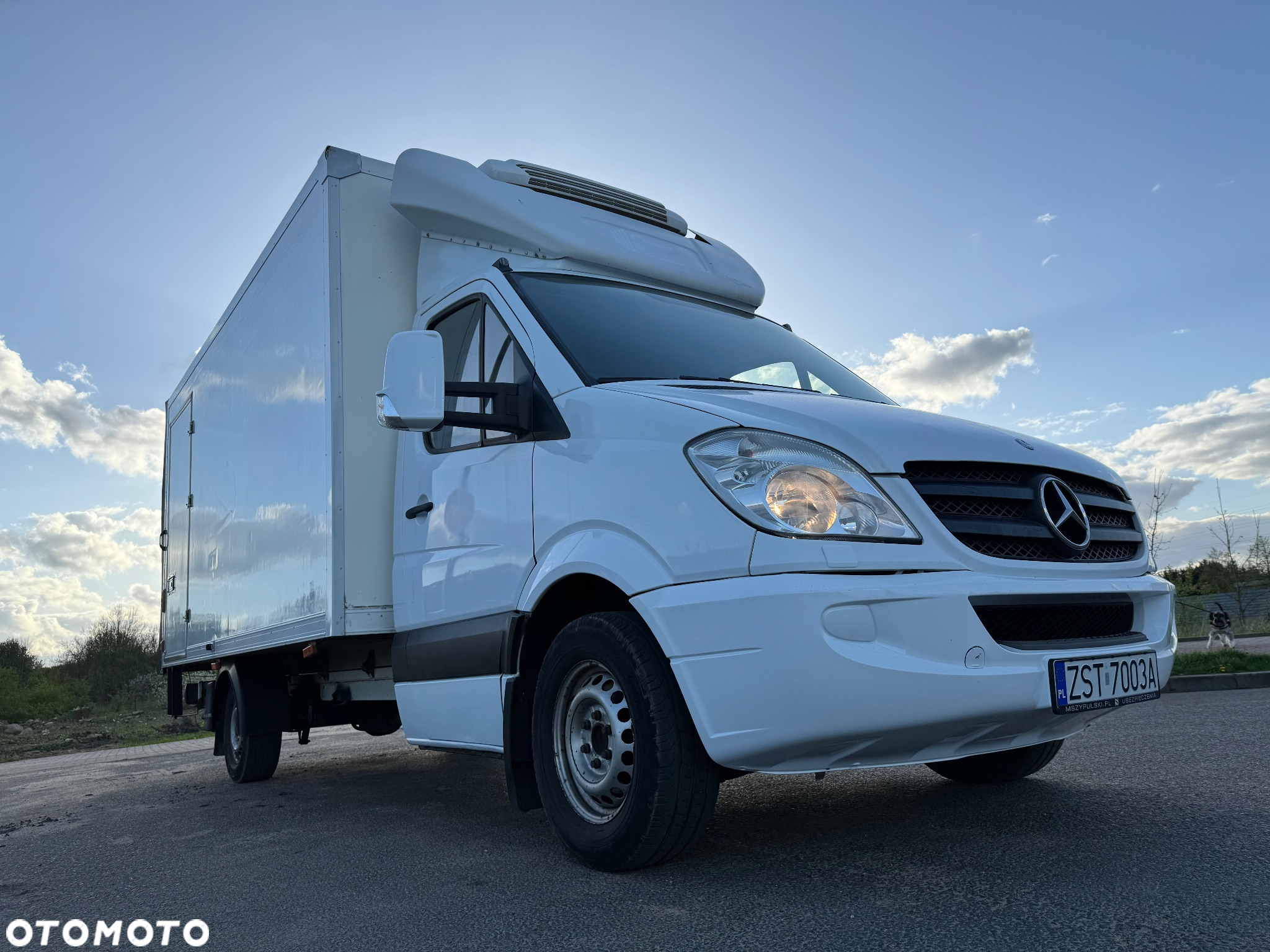 Mercedes-Benz SPRINTER 318 cdi - 11