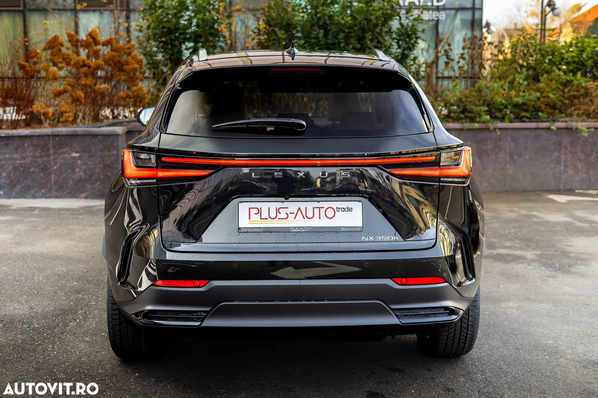 Lexus Seria NX 350h AWD CVT HEV Executive - 3