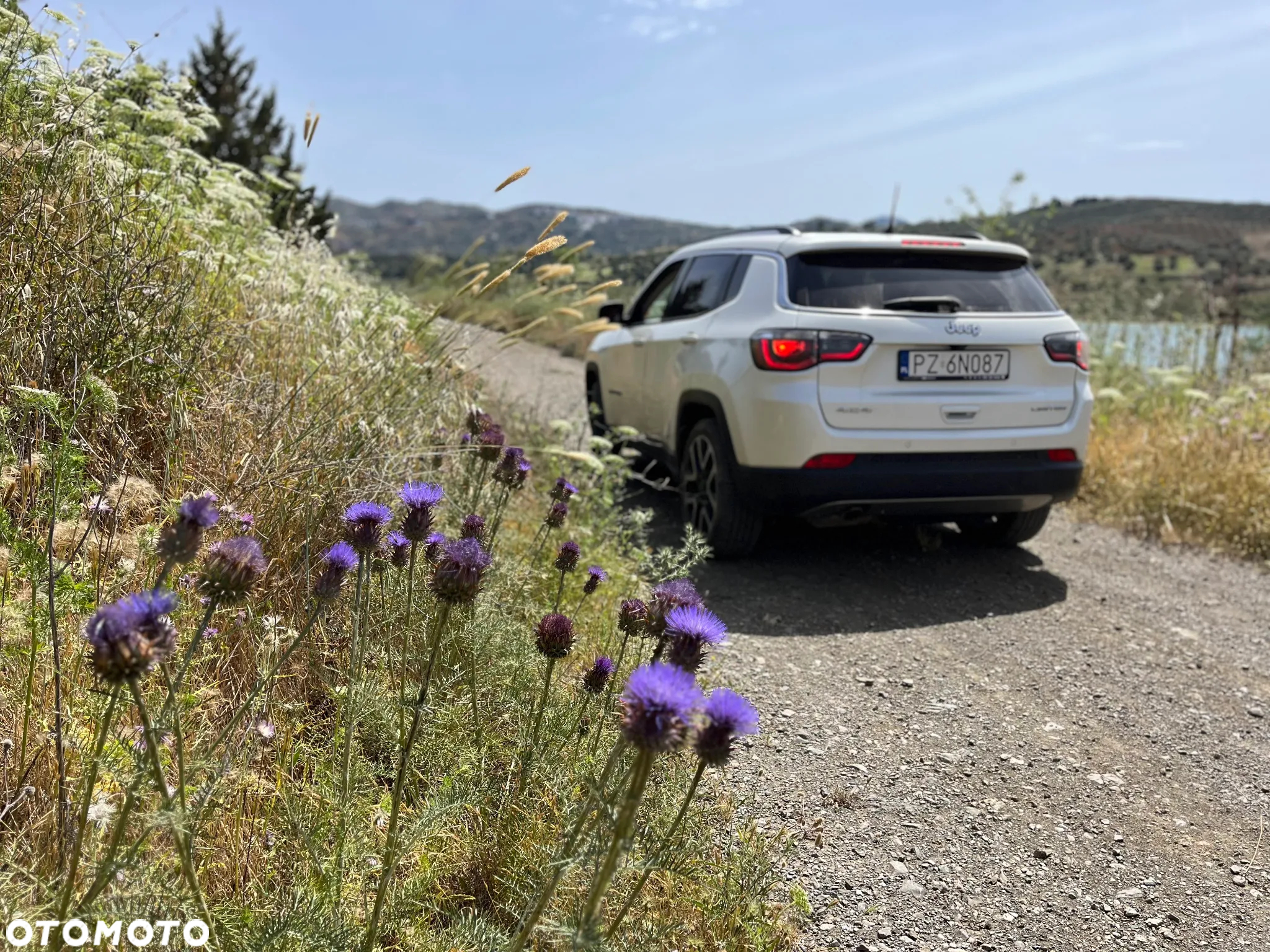 Jeep Compass 2.0 MJD Limited 4WD S&S - 9