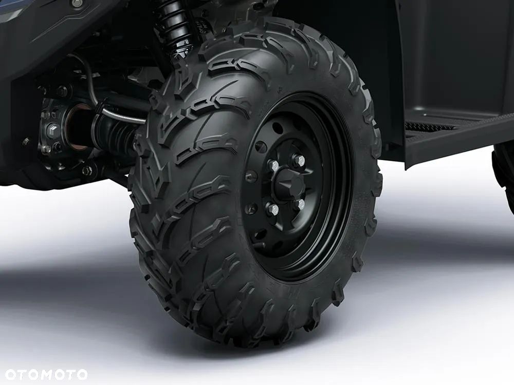 Kawasaki Brute Force - 10