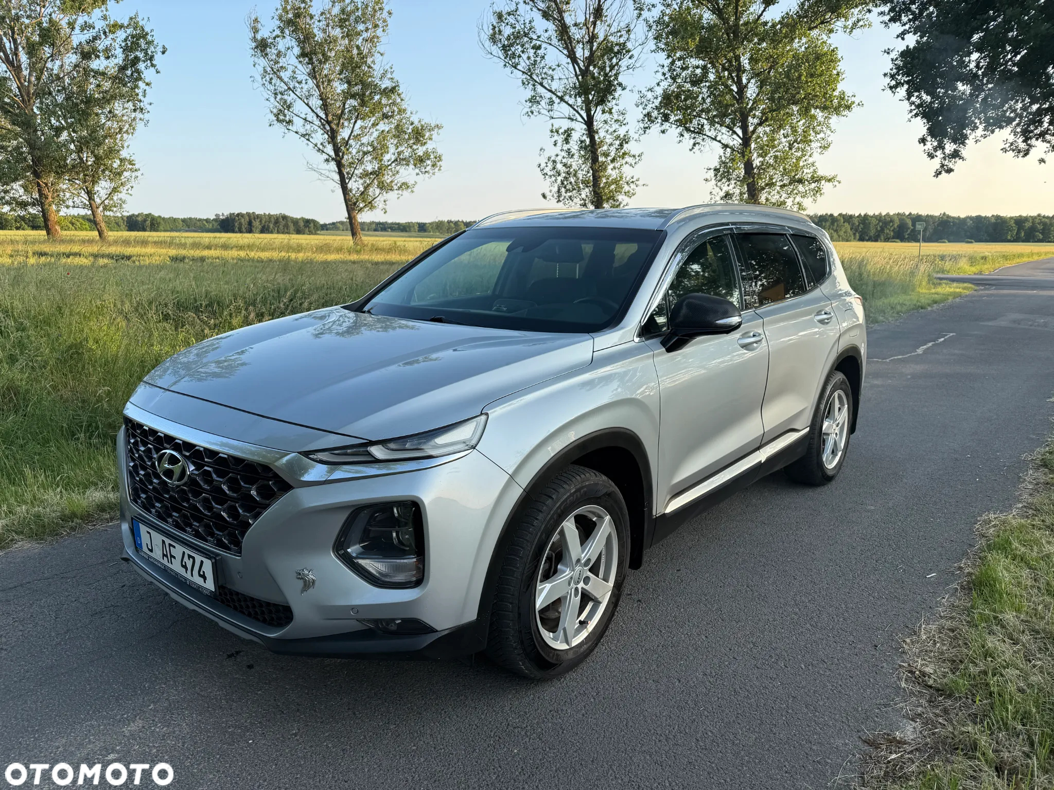 Hyundai Santa Fe 2.2 CRDi Platinum 4WD - 20