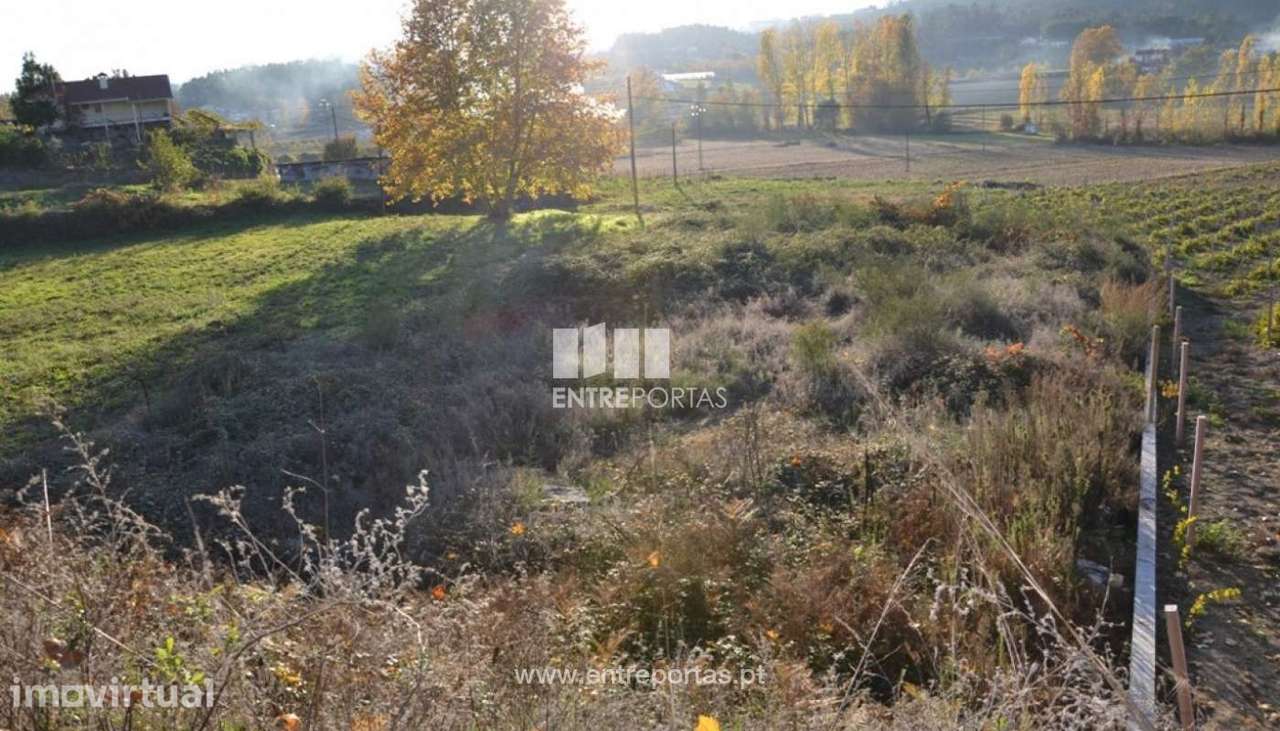 Venda Terreno, Travanca, Amarante - Grande imagem: 2/9