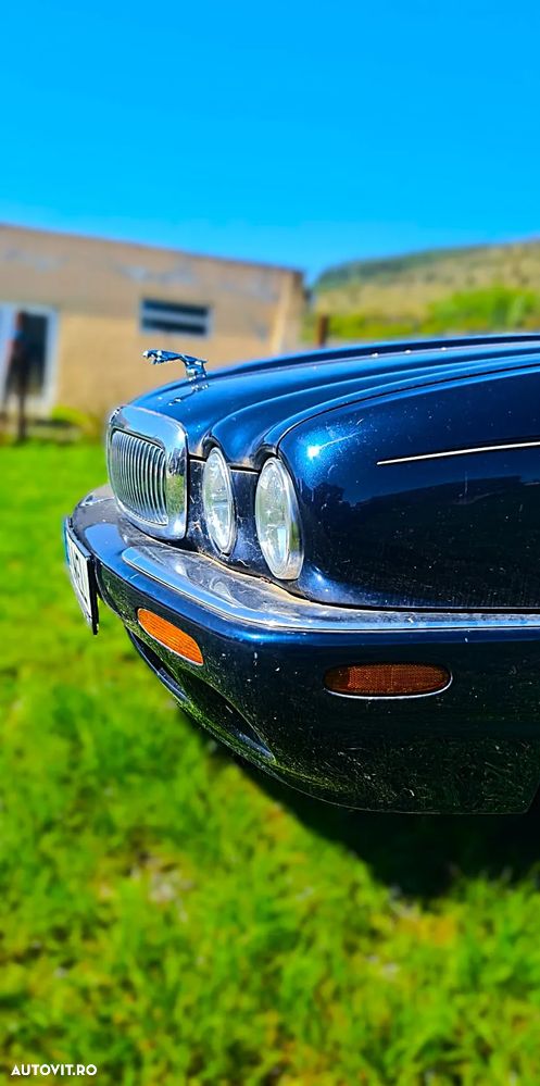 Jaguar XJ XJ6 3.0 Executive - 2