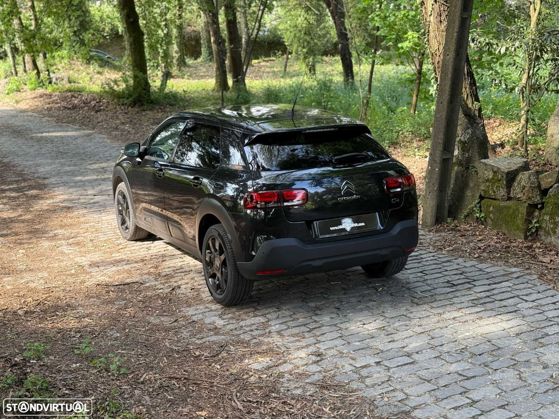 Citroën C4 Cactus 1.2 PureTech Feel - 24