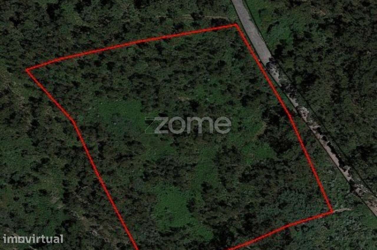 Terreno Rústico com 13.470 m2 em Monte Córdova - Santo Tirso - Grande imagem: 5/6