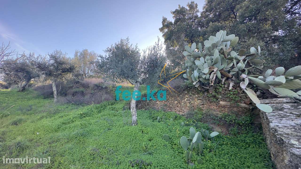 Terreno Rural em Cebolais de Cima - Grande imagem: 4/11