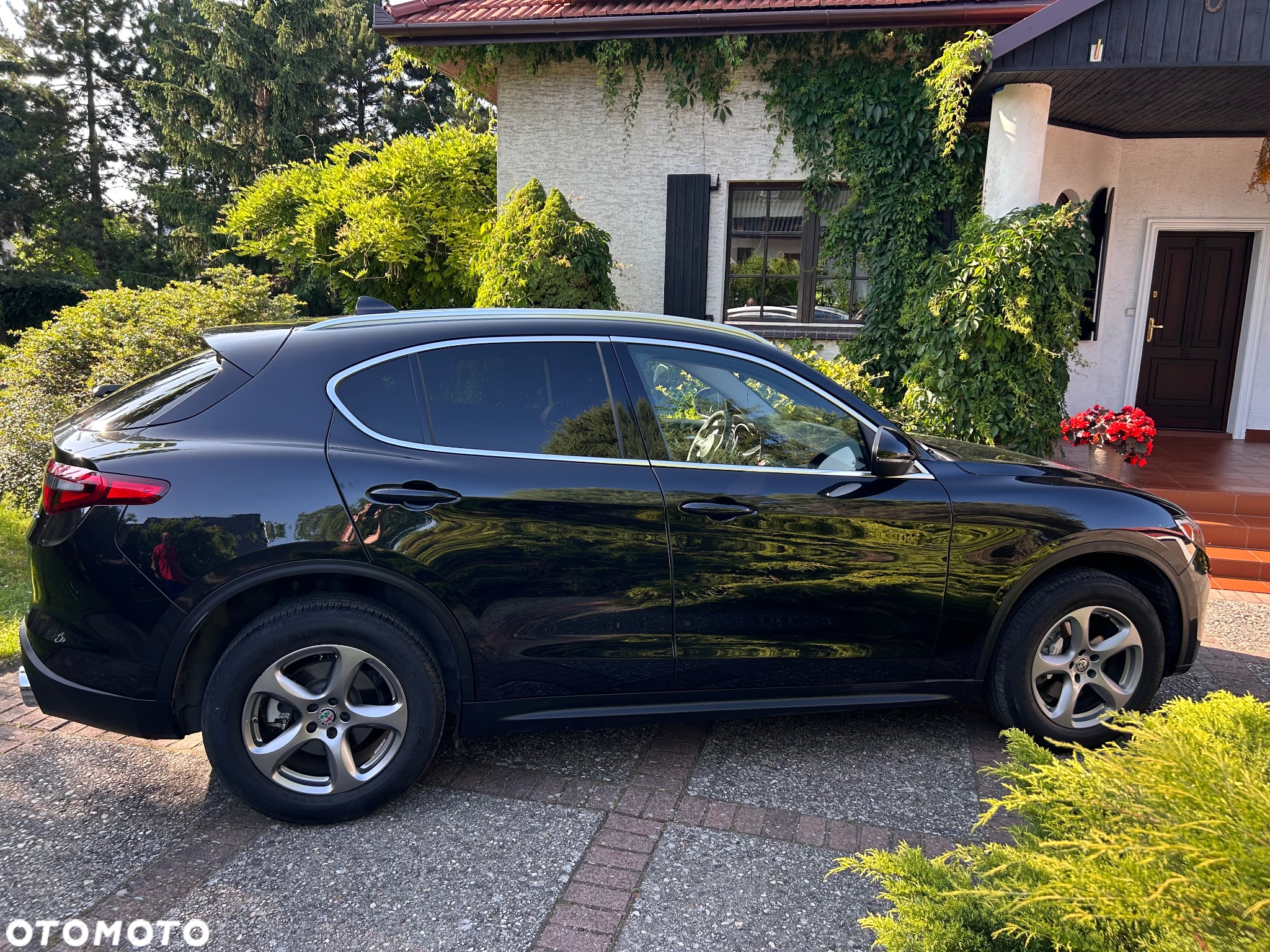 Alfa Romeo Stelvio - 6