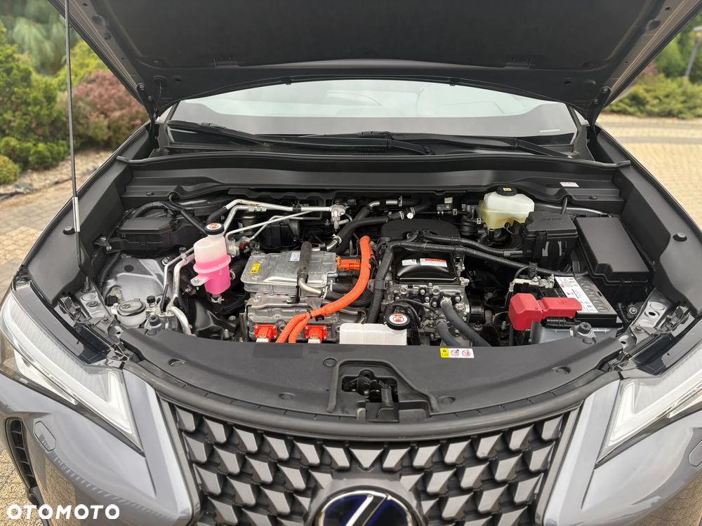 Lexus UX 300e 54.3 kWh Business Edition 2WD - 7