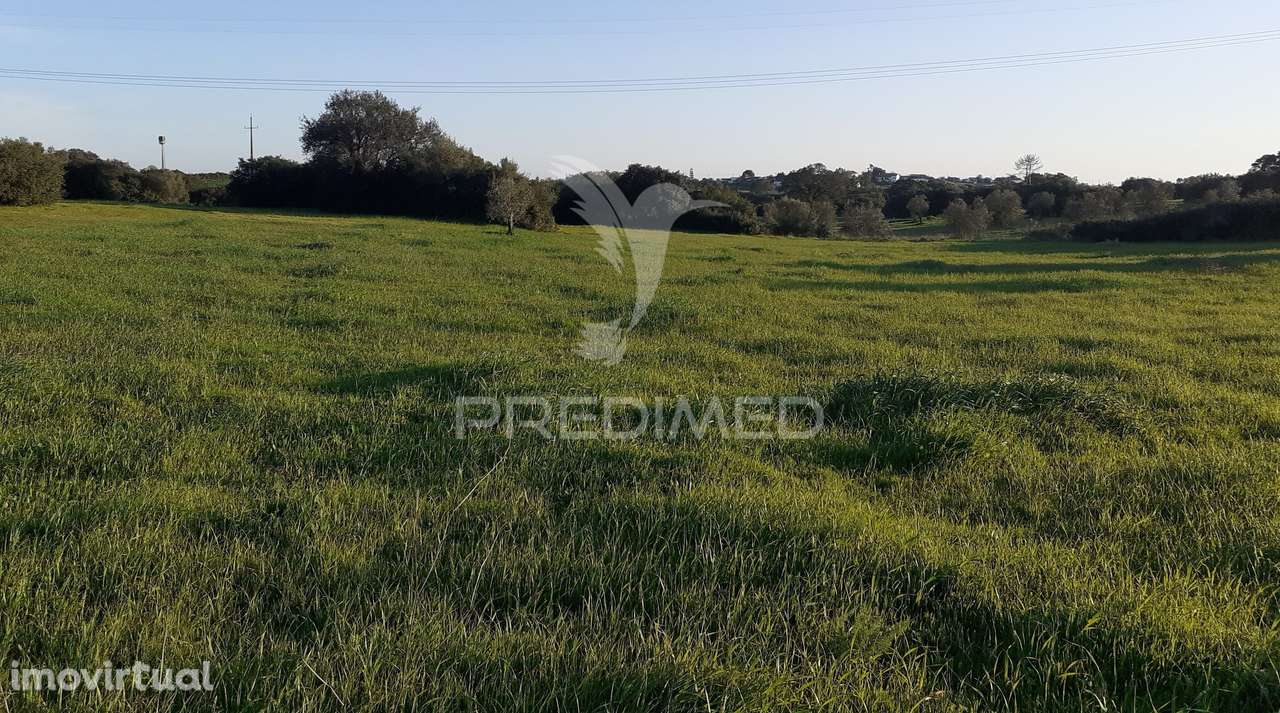 Terreno Rústico com 2,19 ha em Achete, Santarém. - Grande imagem: 5/14