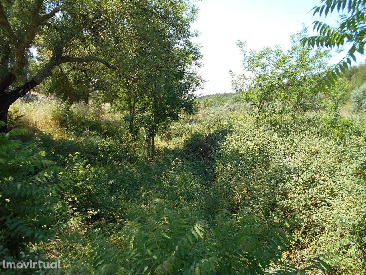 Terreno - Grande imagem: 2/4