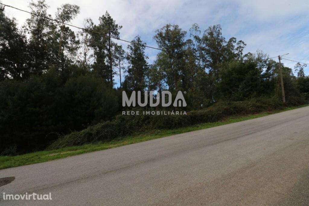 Venda Terreno - Grande imagem: 2/5