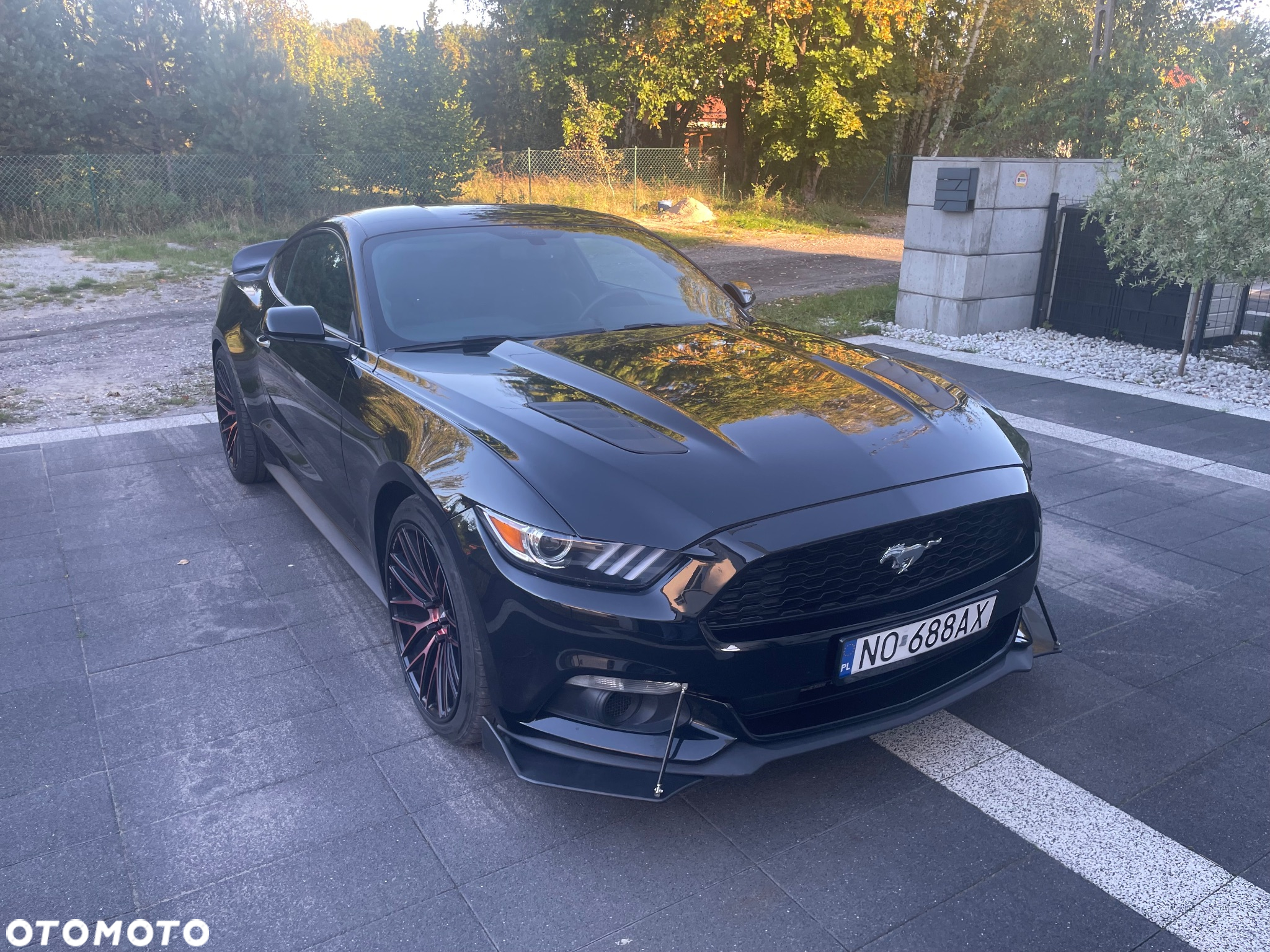 Ford Mustang 2.3 EcoBoost - 5