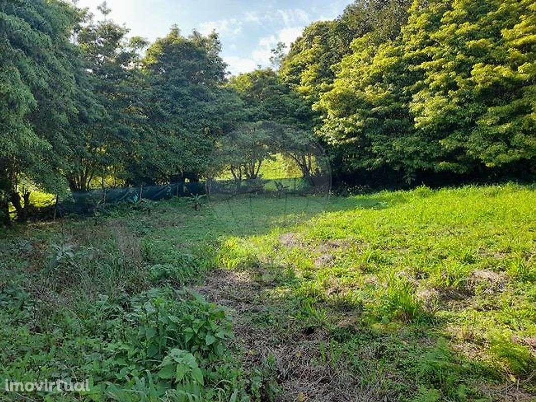 Terreno  para venda - Grande imagem: 5/7