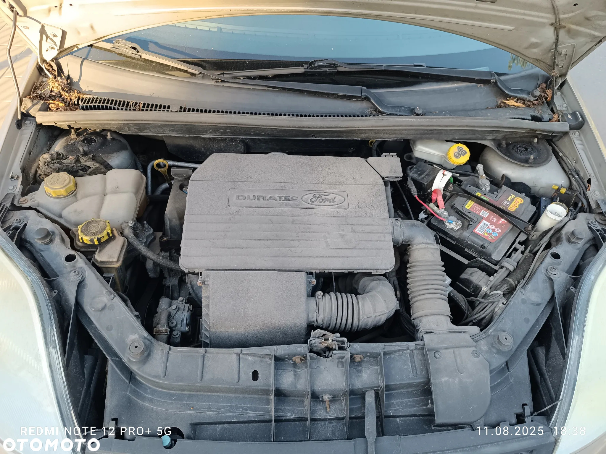 Ford Fiesta - 14