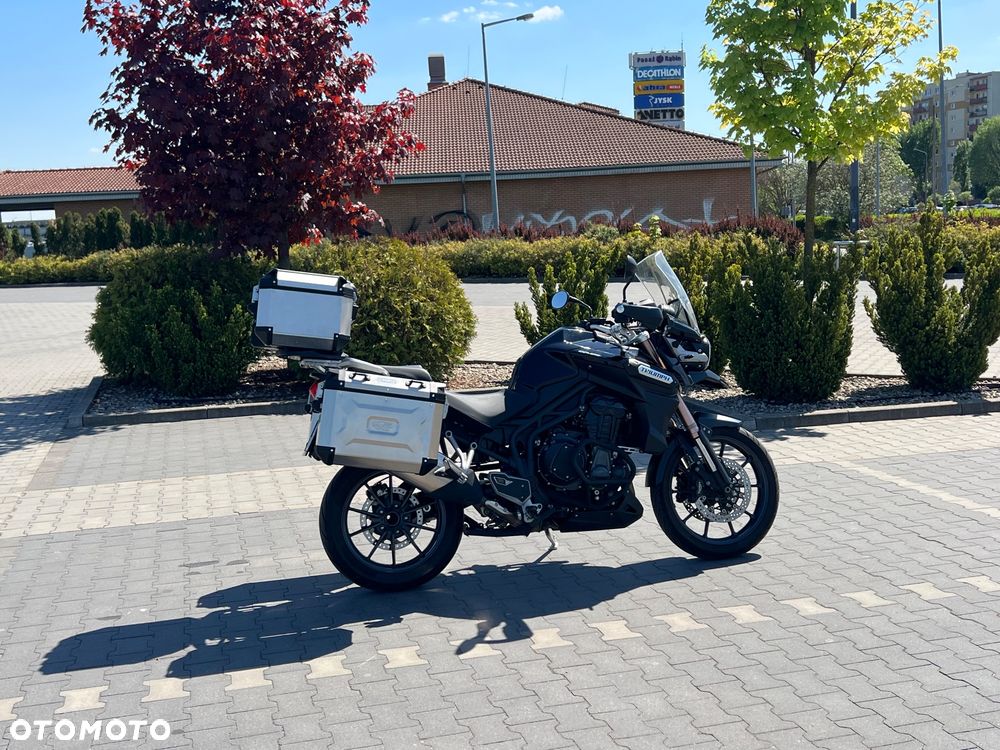 Triumph Tiger - 5